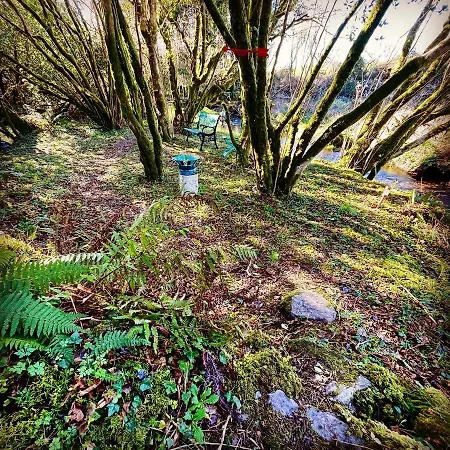 Campo de lujo Stepping Stones Glamping Little Red *