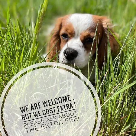 Stepping Stones Glamping Little Red Luxe tent