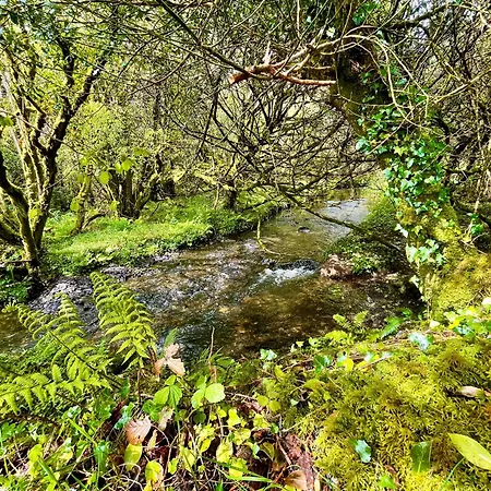 Campo de lujo Stepping Stones Glamping Little Red *