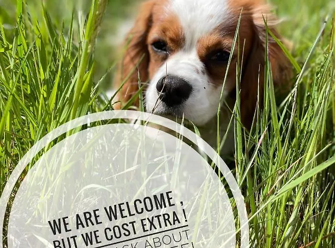 Stepping Stones Glamping Little Red Luxusní stan