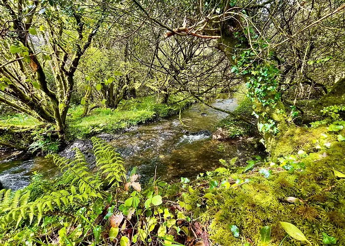 Luxusní stan Stepping Stones Glamping Little Red *